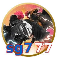 sg777